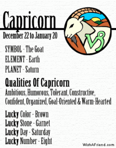 capricorn1