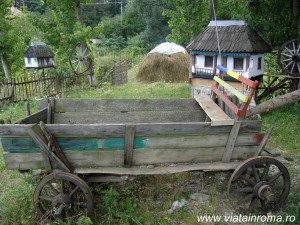 muzeul radacina vrancei