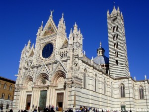 siena