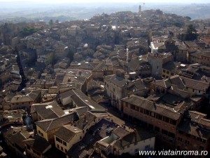 siena