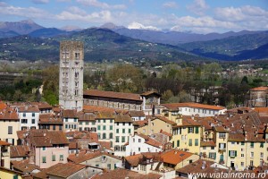 lucca