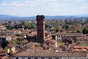 lucca