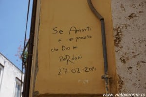 DSC03574